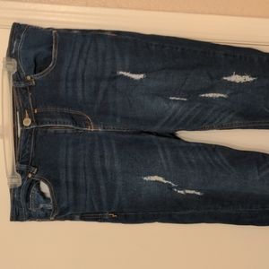 Eloquii Jeans